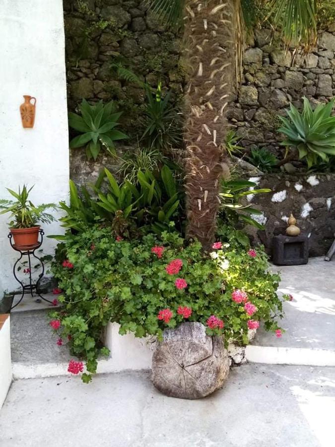 Ribeira Da Praia House Vila Franca do Campo Eksteriør bilde